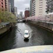 浅宮ゆり 御礼😻 熟女デリヘル倶楽部