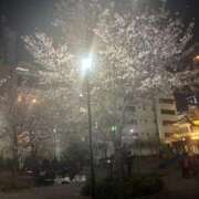 ヒメ日記 2026/04/03 21:01 投稿 浅宮ゆり 熟女デリヘル倶楽部