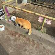 ヒメ日記 2026/06/12 20:08 投稿 浅宮ゆり 熟女デリヘル倶楽部