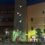 ヒメ日記 2026/06/19 19:42 投稿 浅宮ゆり 熟女デリヘル倶楽部