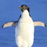浅宮ゆり 🧊本日解禁‼️夏の爽快ケア🐧☀️🎐🩵 熟女デリヘル倶楽部