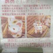 ヒメ日記 2026/10/21 10:51 投稿 浅宮ゆり 熟女デリヘル倶楽部