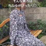 ヒメ日記 2025/02/27 12:04 投稿 ちふゆ 40分7600円 回春性感メンズエステ猫の手 大垣／羽島