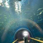 ヒメ日記 2025/10/21 21:33 投稿 めい	40分7600円 回春性感メンズエステ猫の手 大垣／羽島