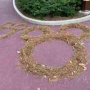 ヒメ日記 2025/01/24 01:10 投稿 あめ 西川口ちゃんこ