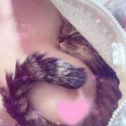 ヒメ日記 2025/06/04 06:01 投稿 ろみな ドM女学園大阪