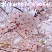 ヒメ日記 2025/04/13 22:02 投稿 ゆう 山口下関ちゃんこ