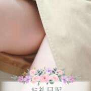 ヒメ日記 2025/04/20 17:02 投稿 ゆう 山口下関ちゃんこ