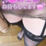 ヒメ日記 2025/05/20 15:47 投稿 ゆう 山口下関ちゃんこ