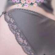 ヒメ日記 2025/09/03 08:13 投稿 ゆう 山口下関ちゃんこ