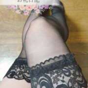 ヒメ日記 2025/09/08 12:04 投稿 ゆう 山口下関ちゃんこ