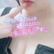 ヒメ日記 2026/02/07 12:14 投稿 ゆう 山口下関ちゃんこ