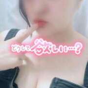 ヒメ日記 2026/03/16 18:14 投稿 ゆう 山口下関ちゃんこ