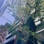 ヒメ日記 2025/04/16 12:31 投稿 広瀬まい ダリア