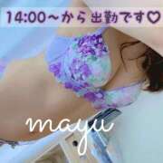 ヒメ日記 2026/02/17 11:13 投稿 まゆ 40分7600円 回春性感メンズエステ猫の手 名古屋駅／納屋橋