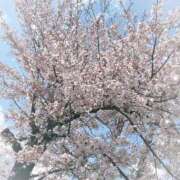 ヒメ日記 2025/04/07 14:20 投稿 井上（いのうえ） 熟女の風俗最終章 名古屋店