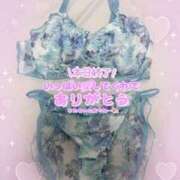 ヒメ日記 2025/06/03 03:10 投稿 井上（いのうえ） 熟女の風俗最終章 名古屋店