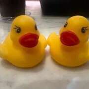 ヒメ日記 2026/03/08 21:16 投稿 井上（いのうえ） 熟女の風俗最終章 名古屋店