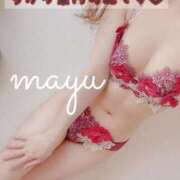 ヒメ日記 2026/02/17 14:23 投稿 まゆ 40分7600円 回春性感メンズエステ猫の手 大垣／羽島