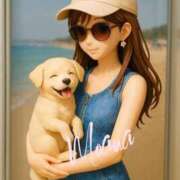 ヒメ日記 2025/09/07 13:18 投稿 もあな 40分7600円 回春性感メンズエステ猫の手 岐阜／岐南