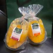 ヒメ日記 2025/01/09 13:28 投稿 愛咲るな ALLAMANDA 渋谷