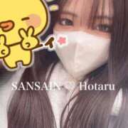 ヒメ日記 2024/12/23 16:25 投稿 ほたる 宮崎SANSAIN