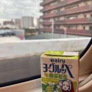 ヒメ日記 2024/12/30 10:55 投稿 ほたる 宮崎SANSAIN