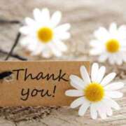 ヒメ日記 2024/12/26 21:08 投稿 ちはる 40分6400円 回春性感メンズエステ猫の手 岐阜／岐南