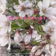 ヒメ日記 2025/03/25 00:47 投稿 愛沢 美優 こあくまな熟女たち 鶯谷・日暮里店(KOAKUMAグループ)