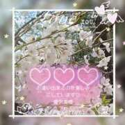 ヒメ日記 2025/03/30 14:59 投稿 愛沢 美優 こあくまな熟女たち 鶯谷・日暮里店(KOAKUMAグループ)