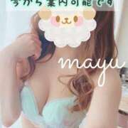 ヒメ日記 2026/02/26 14:13 投稿 まゆ 40分7600円 回春性感メンズエステ猫の手 尾張一宮