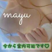 ヒメ日記 2026/02/27 16:53 投稿 まゆ 40分7600円 回春性感メンズエステ猫の手 尾張一宮