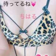 ヒメ日記 2025/04/18 21:13 投稿 ちはる 40分6400円 回春性感メンズエステ猫の手 尾張一宮