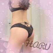 ヒメ日記 2024/12/23 10:18 投稿 ハル AMOUR（アムール）