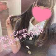 ハル 🩵おやすみです🩵 AMOUR（アムール）