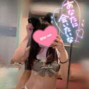 ヒメ日記 2026/04/14 11:51 投稿 ハル AMOUR（アムール）