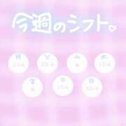 ヒメ日記 2025/03/31 16:42 投稿 なな ちゃんこ藤沢茅ヶ崎店