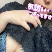 ヒメ日記 2025/04/17 16:22 投稿 なな ちゃんこ藤沢茅ヶ崎店