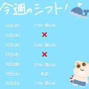 ヒメ日記 2025/07/14 17:03 投稿 なな ちゃんこ藤沢茅ヶ崎店