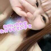 ヒメ日記 2026/04/12 12:03 投稿 なな ちゃんこ藤沢茅ヶ崎店