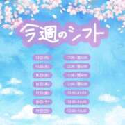 ヒメ日記 2026/04/13 17:02 投稿 なな ちゃんこ藤沢茅ヶ崎店