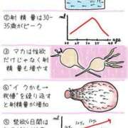 ヒメ日記 2024/09/19 17:35 投稿 あんり 池袋マリン本店