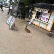 ヒメ日記 2024/12/15 22:00 投稿 みさと プラザ２