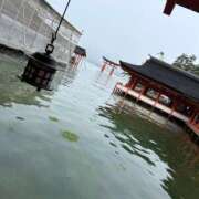 ヒメ日記 2025/01/23 12:08 投稿 みさと プラザ２