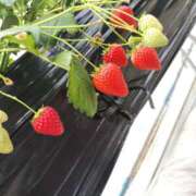 ヒメ日記 2025/03/16 22:35 投稿 みさと プラザ２