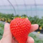 ヒメ日記 2025/04/07 21:01 投稿 みさと プラザ２