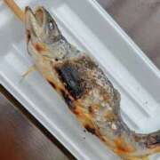 ヒメ日記 2025/10/10 22:34 投稿 みさと プラザ２