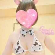 ヒメ日記 2025/11/26 21:01 投稿 みさと プラザ２