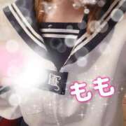 ヒメ日記 2026/02/01 15:30 投稿 もも 石庭