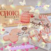 ヒメ日記 2026/02/01 16:00 投稿 もも 石庭